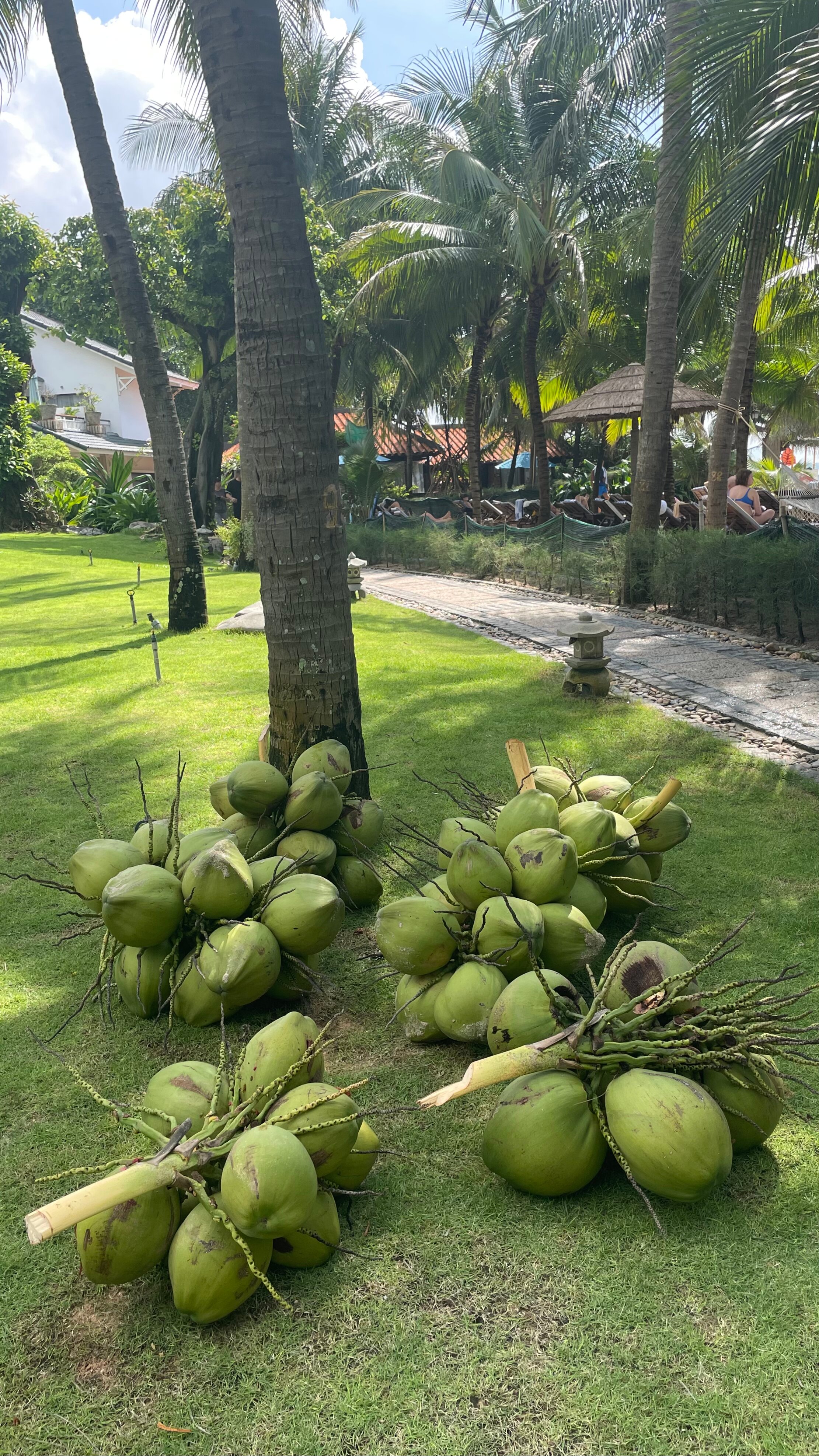 Фото Hoang Ngoc Beach Resort