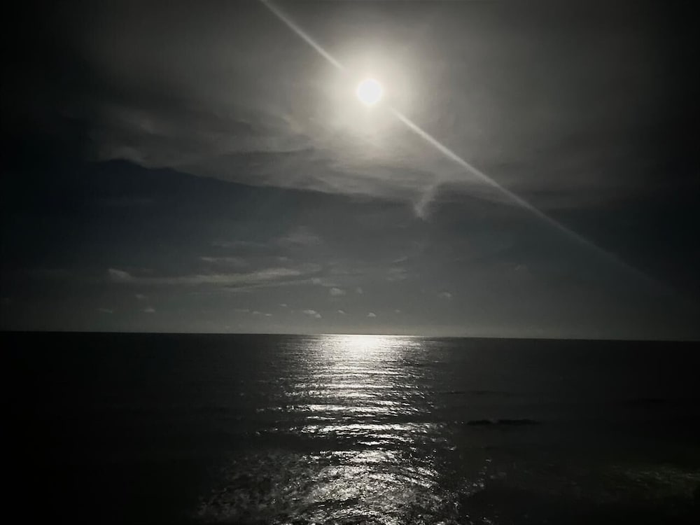 Фото Sea Cliff Resort