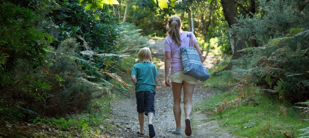 Фото The Knoll House