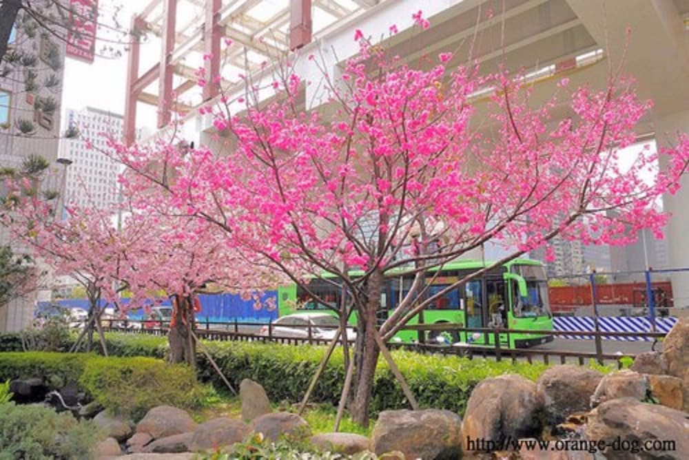 Фото Ful Won Hotel