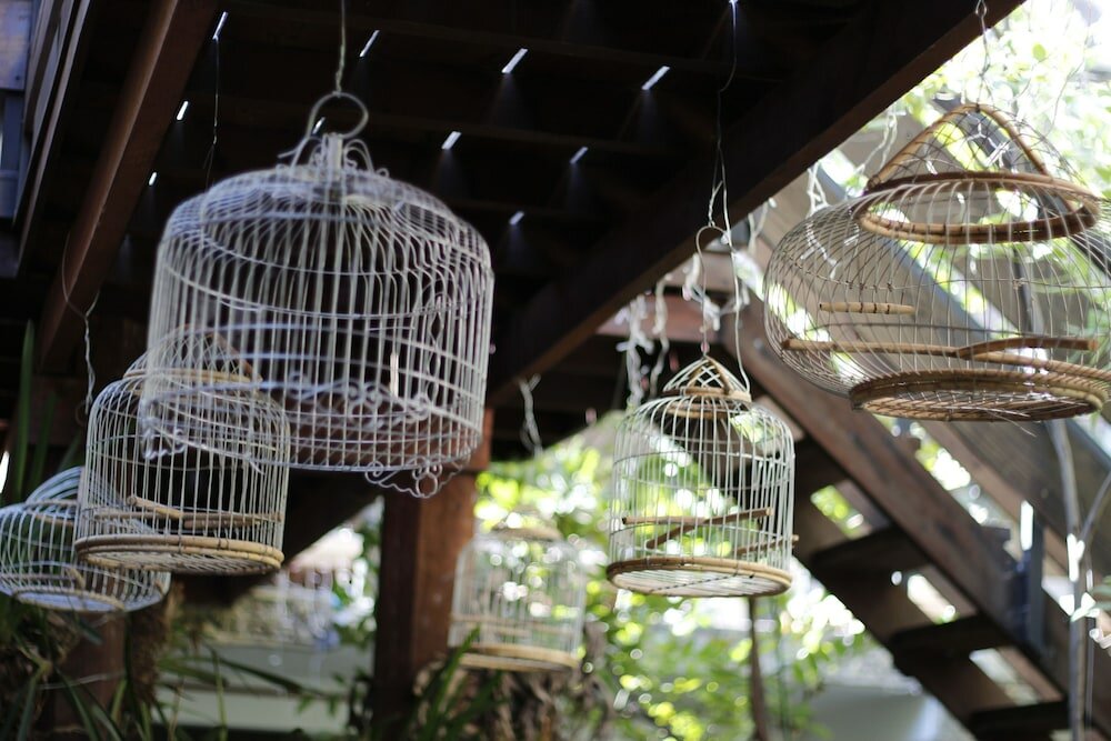 Фото Cambana d'Angkor Suites