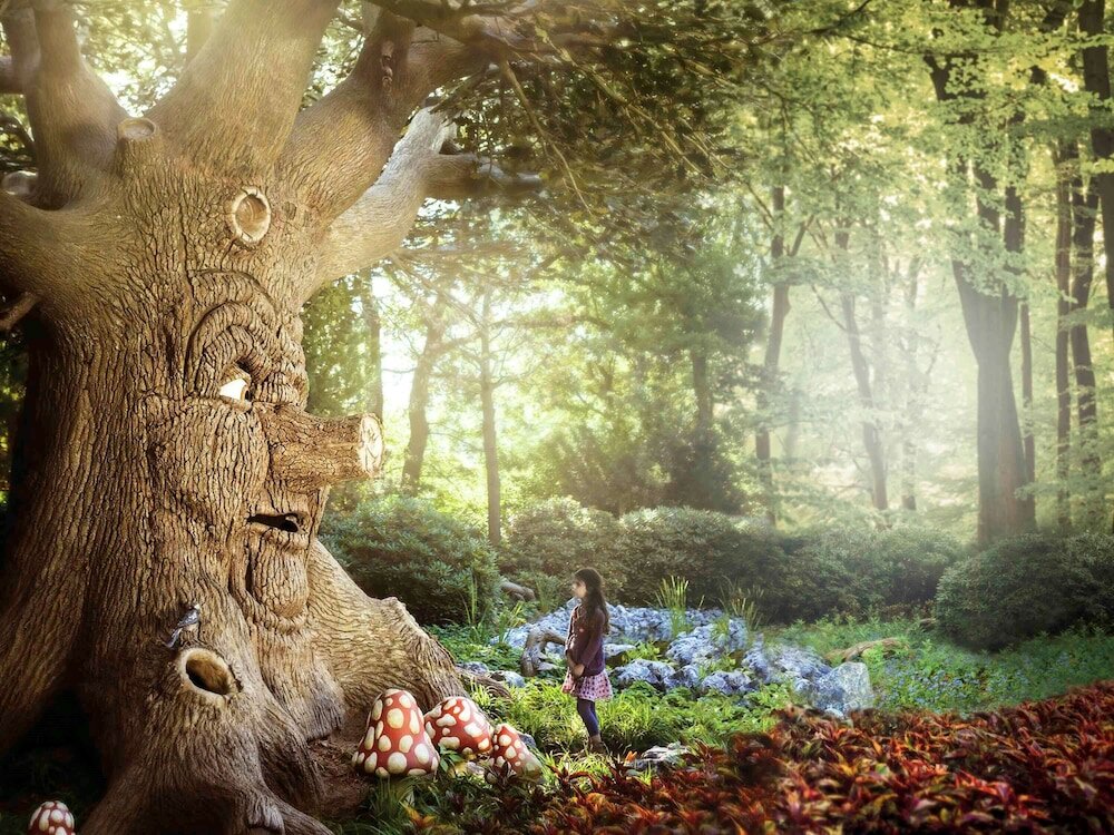 Фото Mercure Hotel Tilburg Centrum