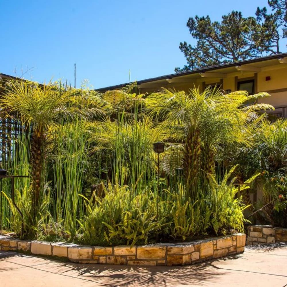 Фото Tradewinds Carmel