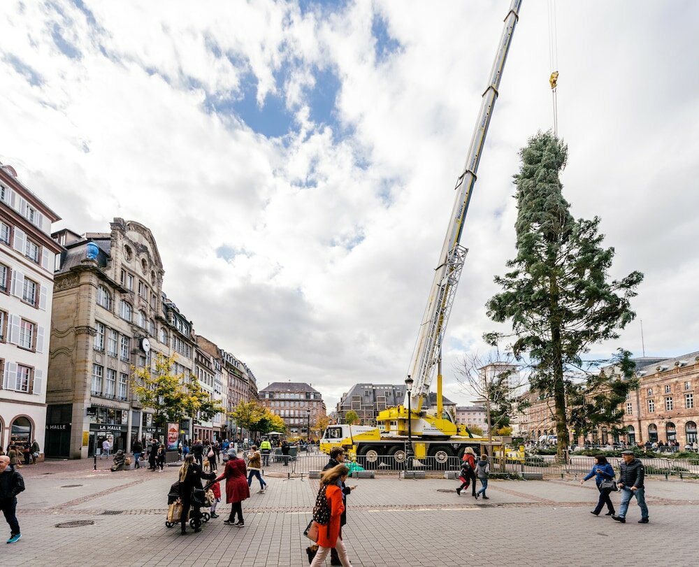 Фото Best Western Plus Hotel Villa D'est