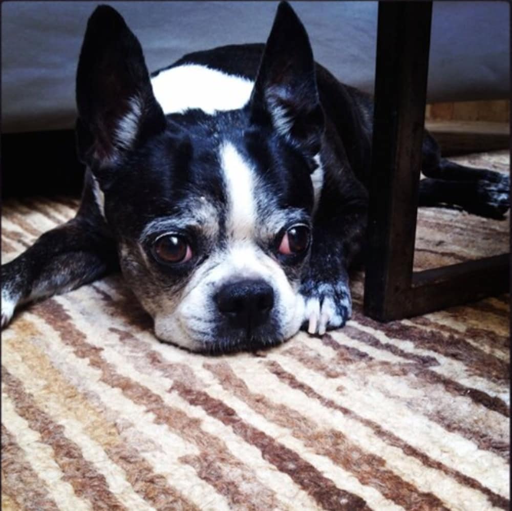 Фото Riad Cocoon