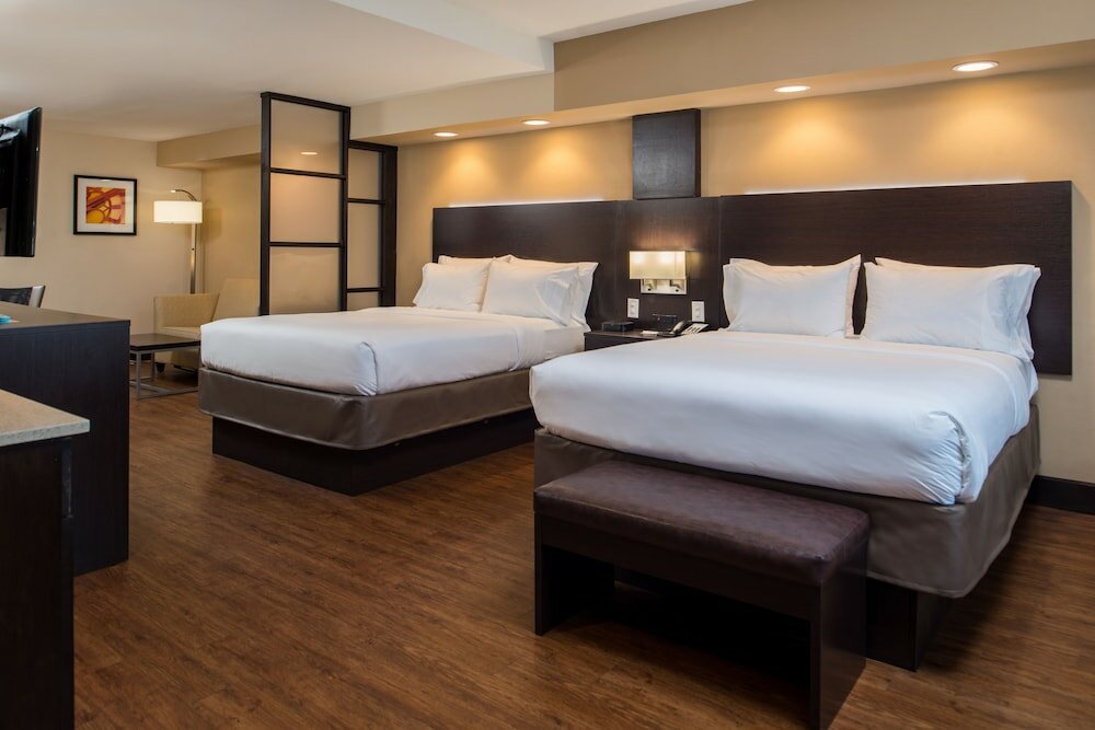 Фото Holiday Inn Express & Suites San Antonio Medical-Six Flags, an Ihg Hotel