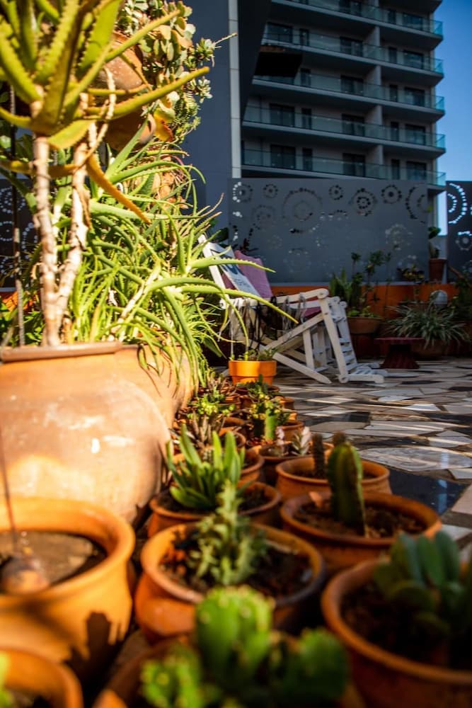 Фото Malagueta Inn