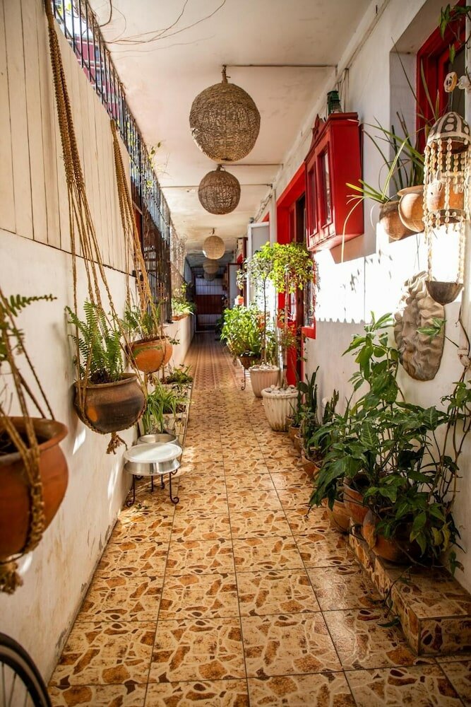 Фото Malagueta Inn