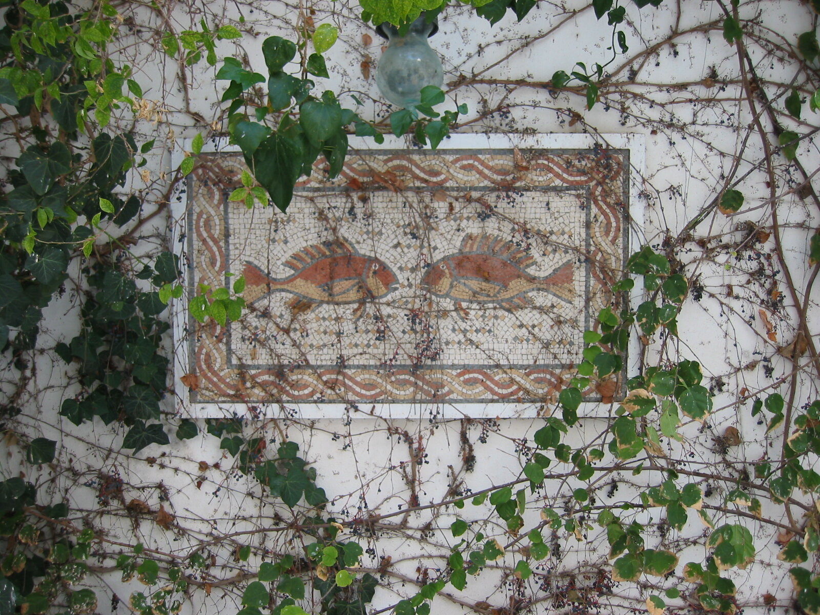 Фото Residence Mahmoud