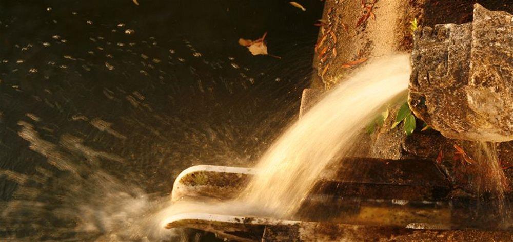 Фото Imani Country House