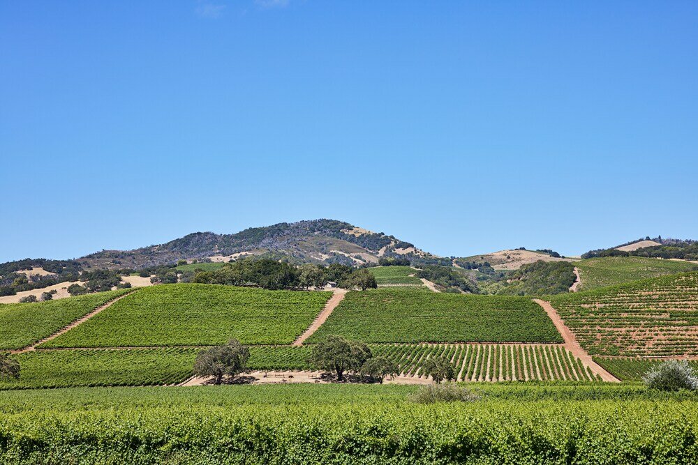 Фото Kenwood Inn & SPA