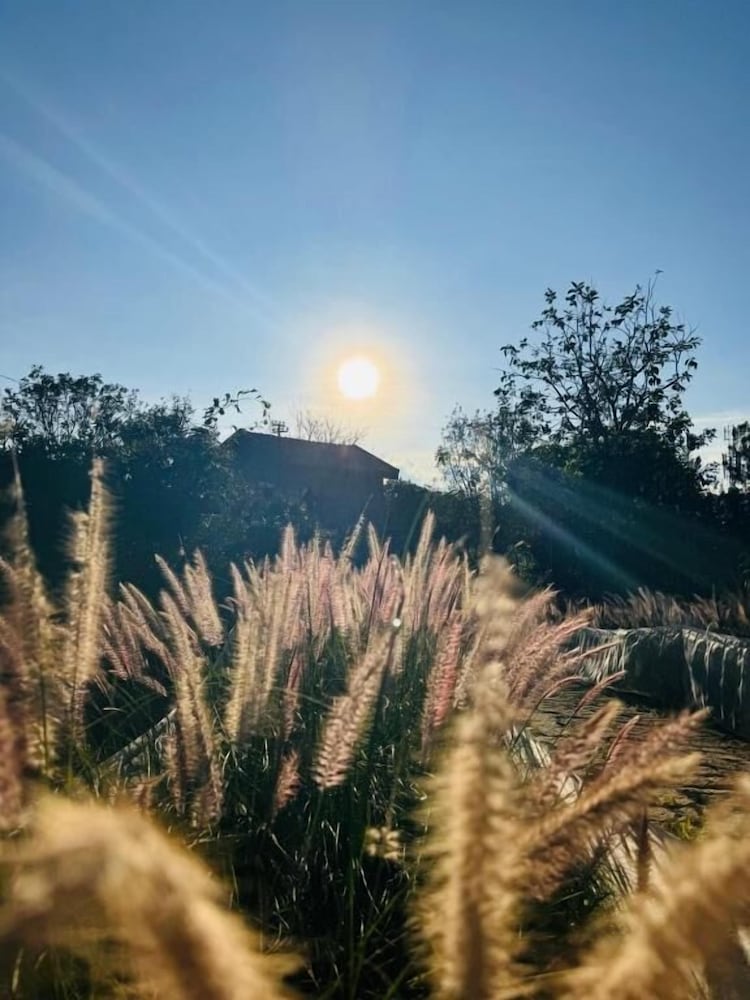 Фото Dalat Train Villa