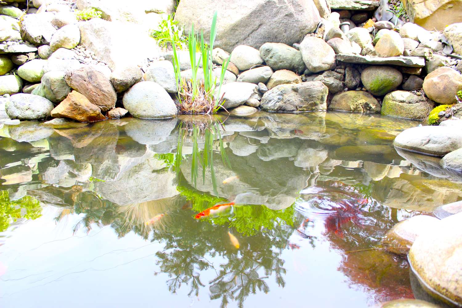 Фото Chrysalis Inn & SPA Bellingham, Curio Collection by Hilton