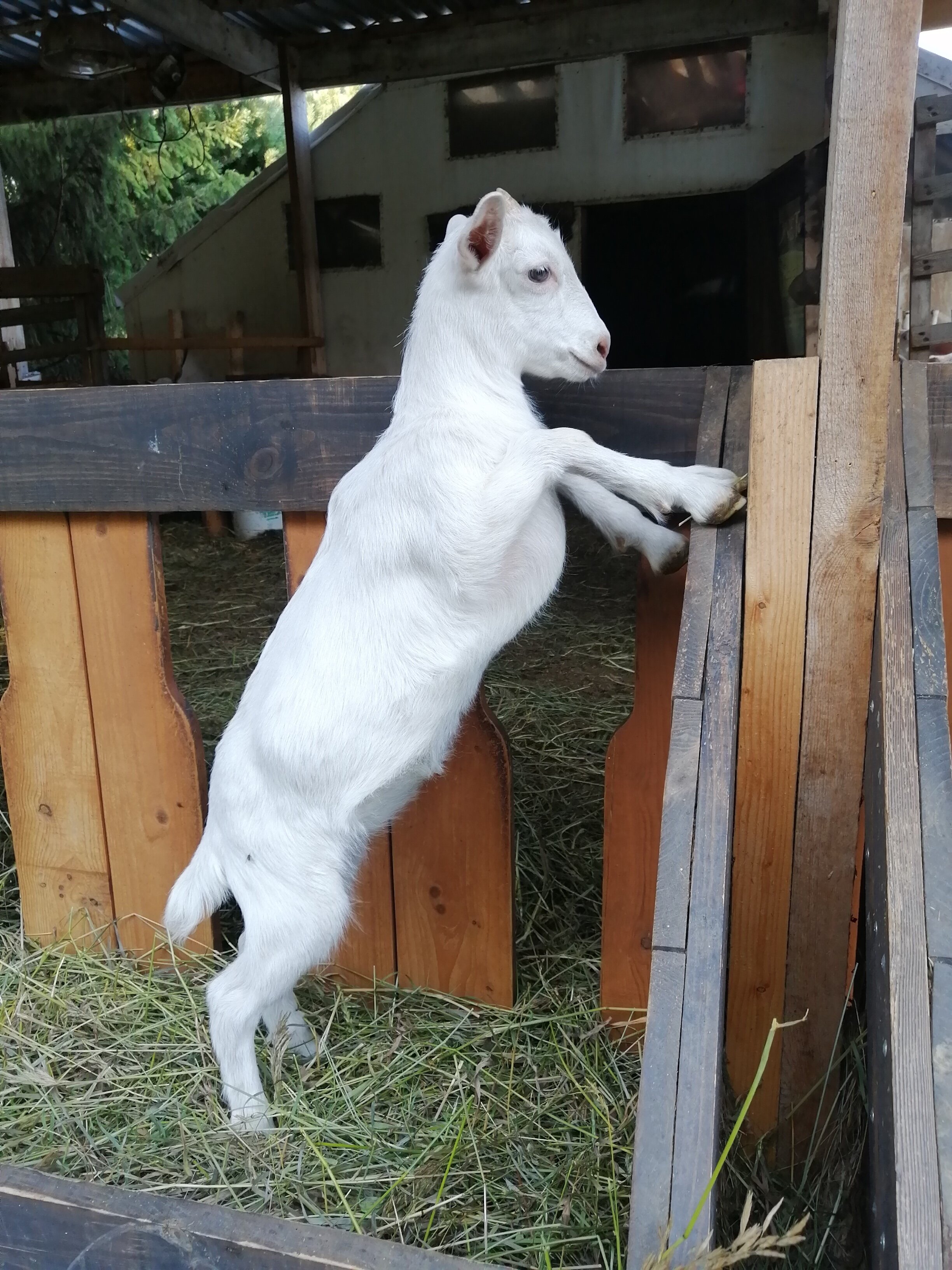 Фото DarkSideCamp