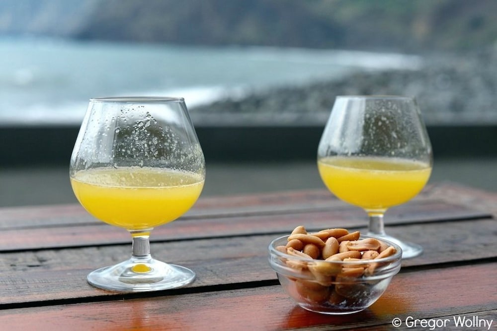 Фото Hotel Vila Bela