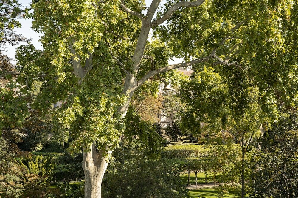 Фото Hotel de Suède