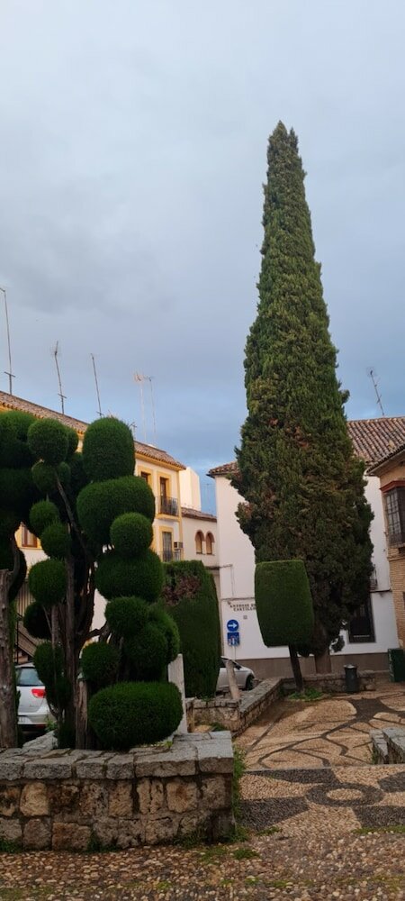 Фото Hotel Plateros