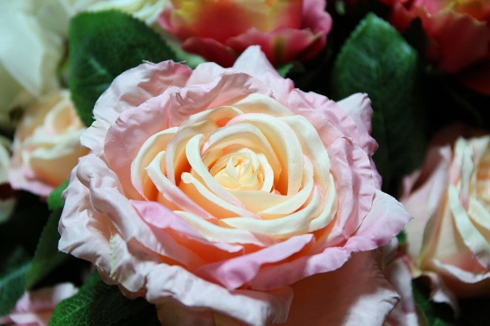 Фото Tanee Place