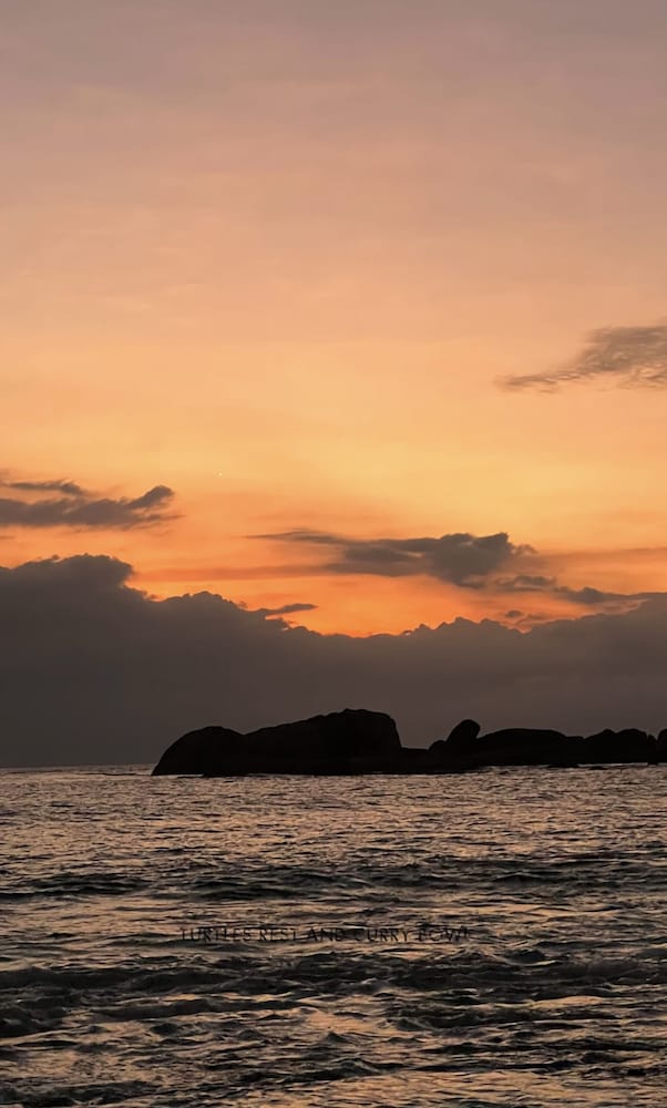 Фото Curry Bowl Restaurant & Turtles Rest