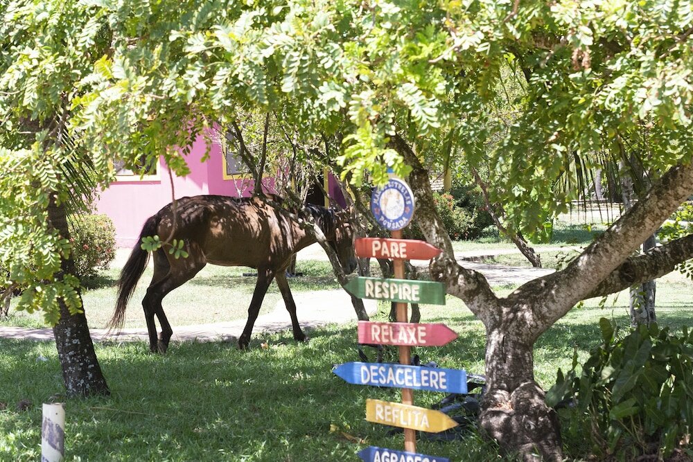 Фото Pousada Mar de Estrelas