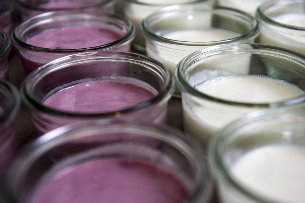 Фото Hotel Scheelsminde