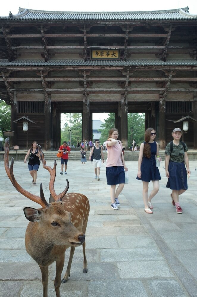 Фото Bnb+ Sarasa Nara - Hostel