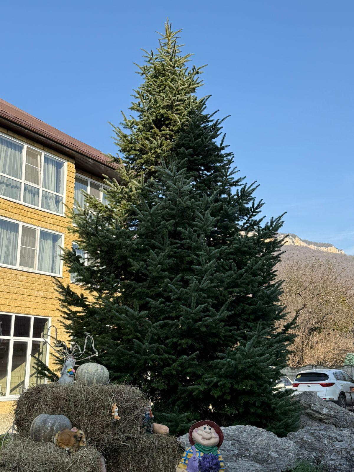 Фото Дом Кролика