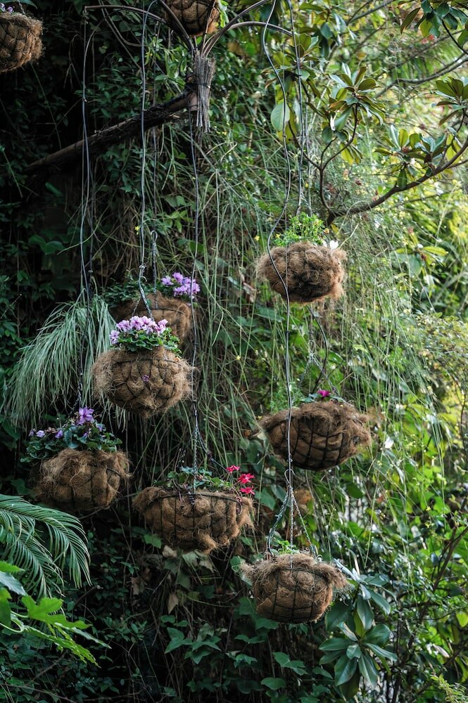 Фото Inhala Hotel Garden