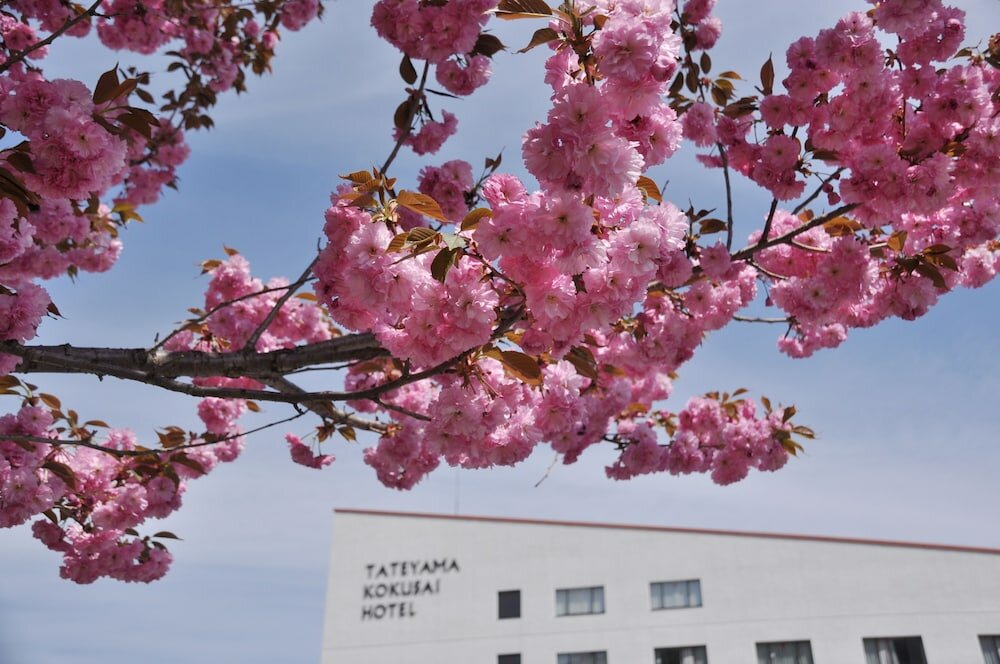 Фото Tateyama Kokusai Hotel