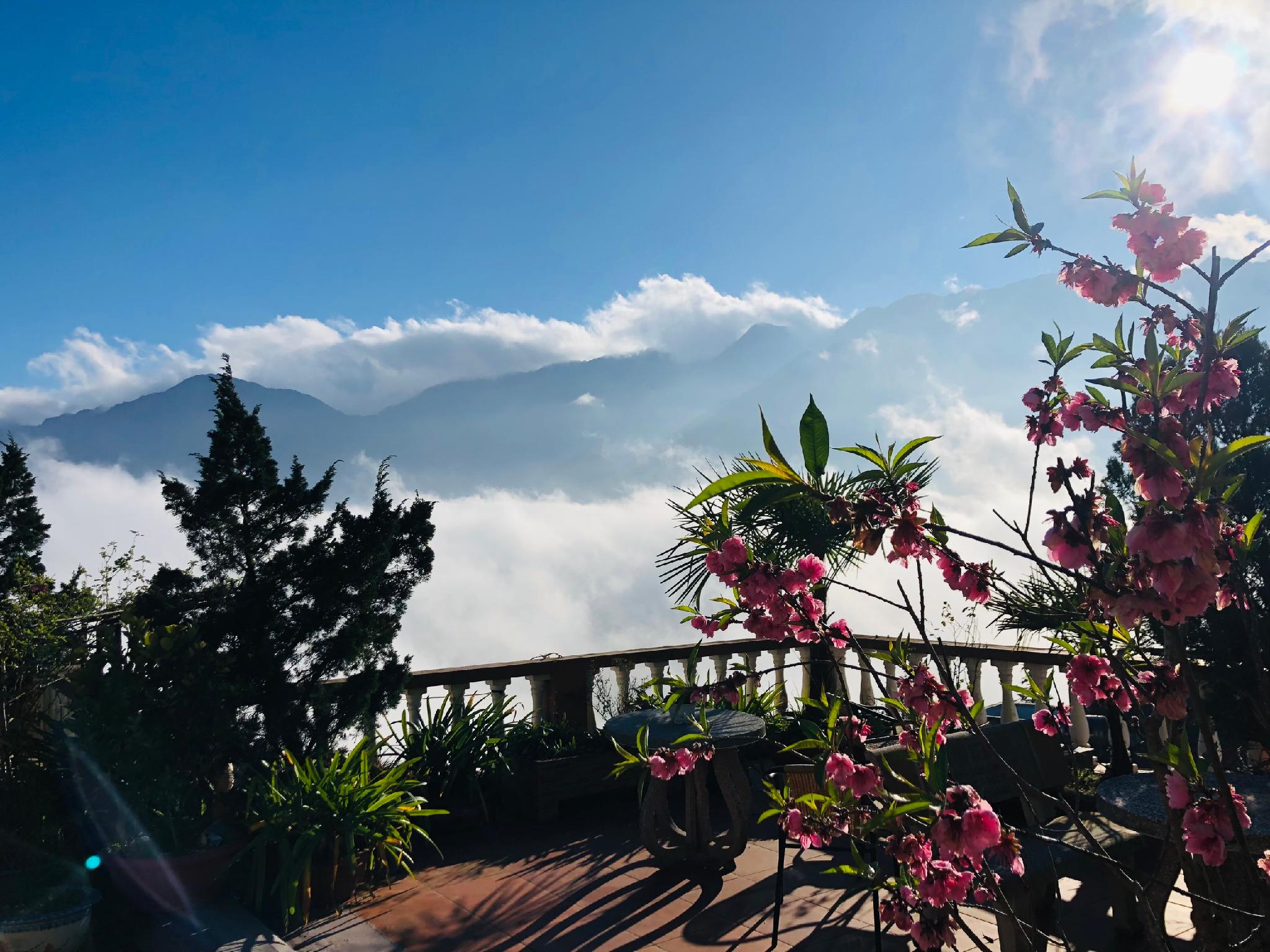 Фото Cat Cat View