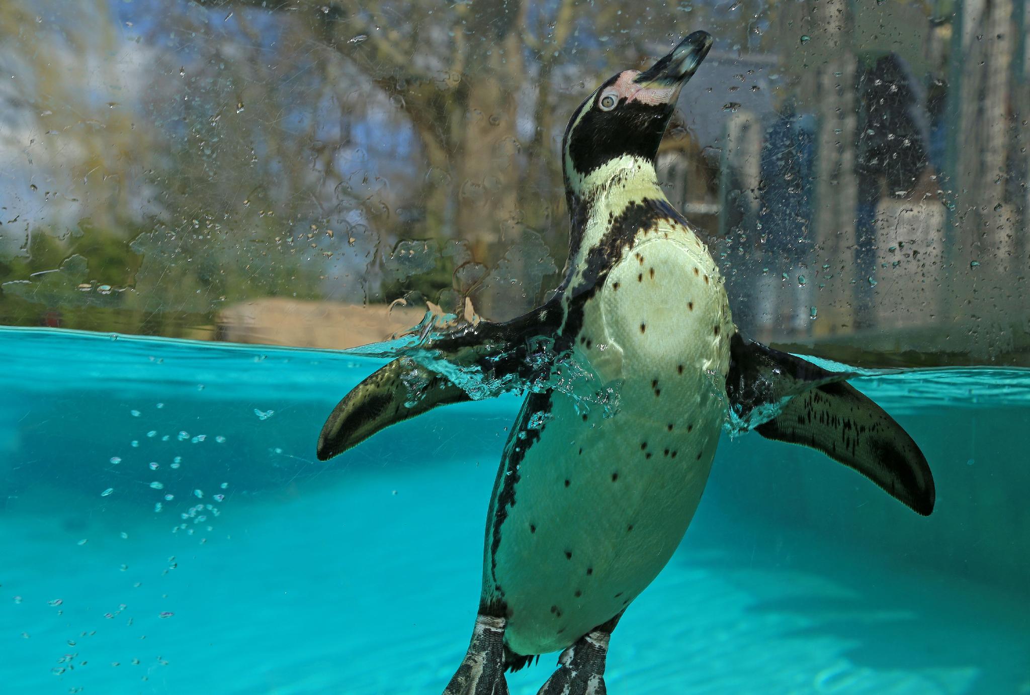 Фото The Warrington Hotel