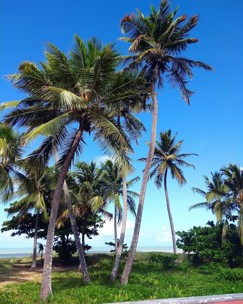 Фото Littoral Hotel