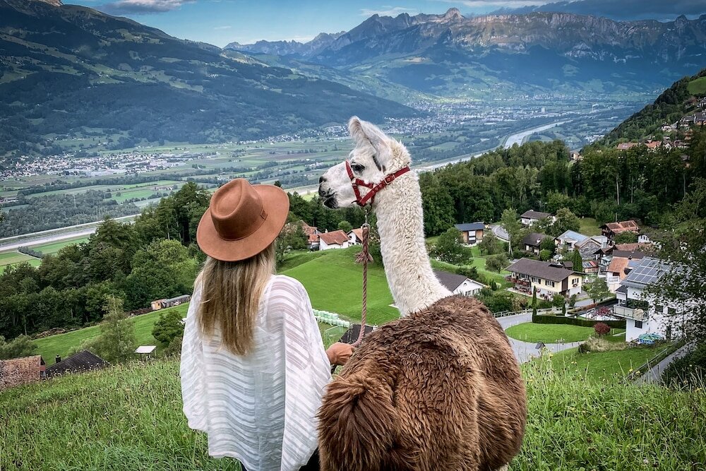 Фото Parkhotel Sonnenhof