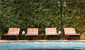 Хостел Lodge Des Almadies