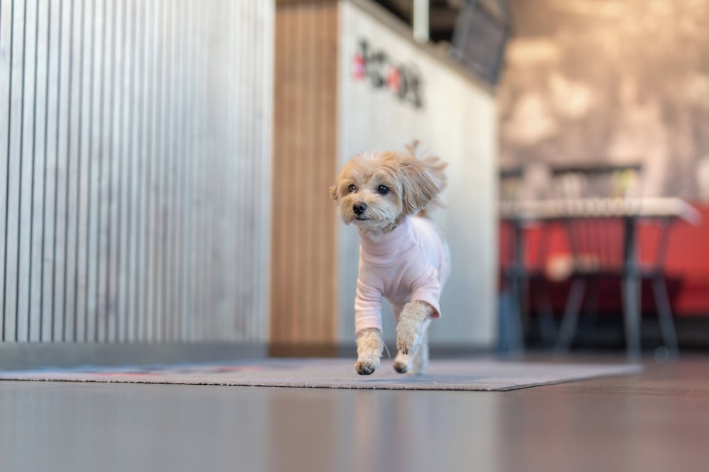 Фото House of Records