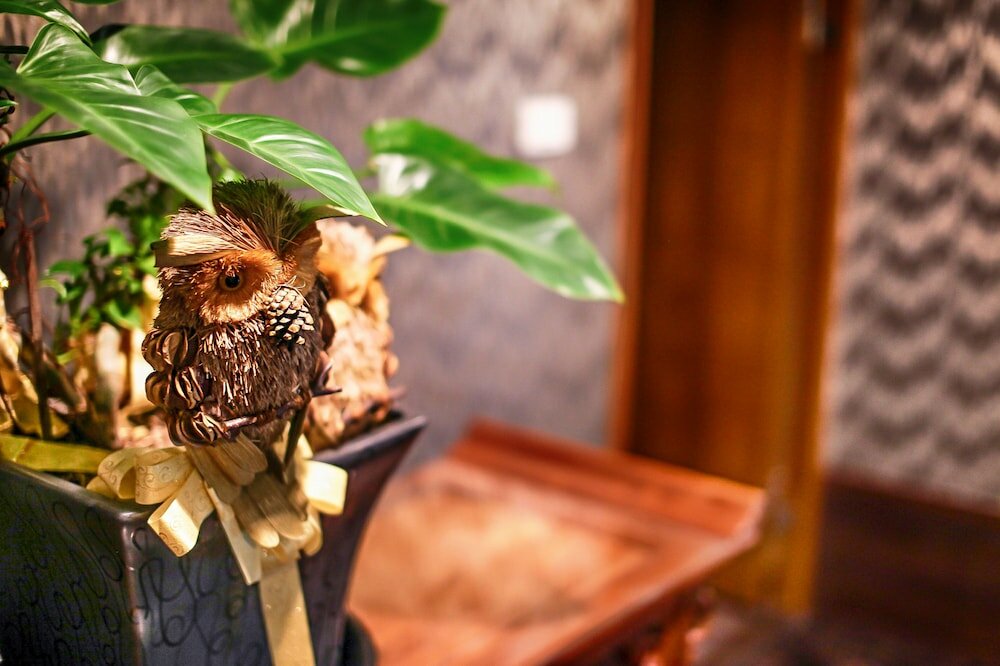 Фото Cai She Hotel