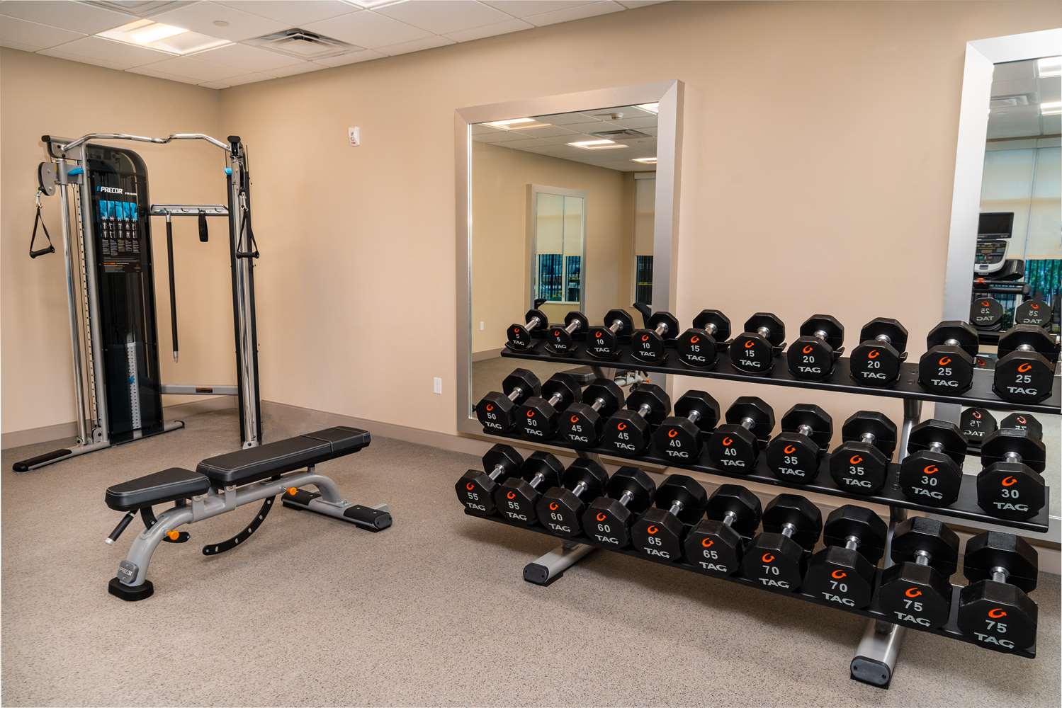 Фото Homewood Suites by Hilton Rancho Cordova Sacramento