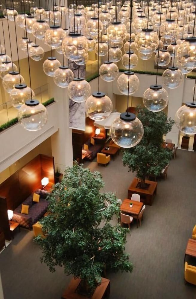 Фото Rafa - Al Nuzhah