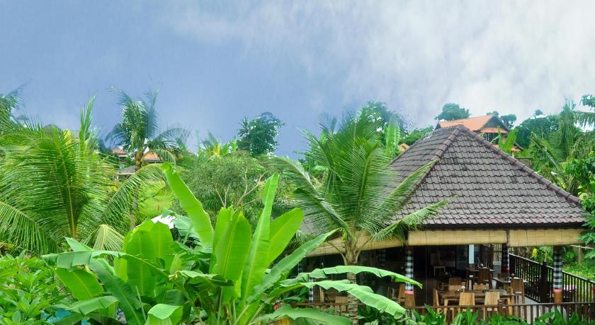 Фото Bucu Guest House