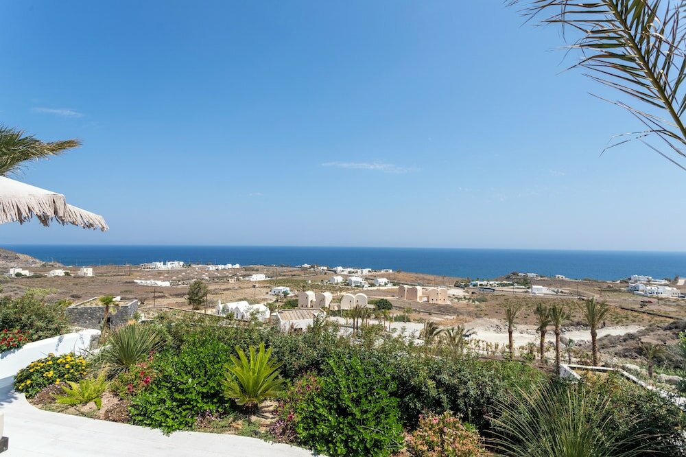 Фото Palm Island