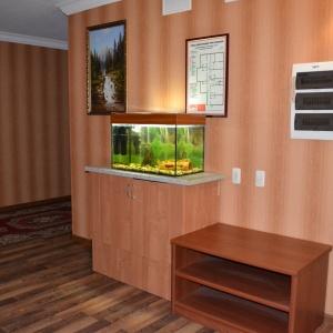 Фото Азалия