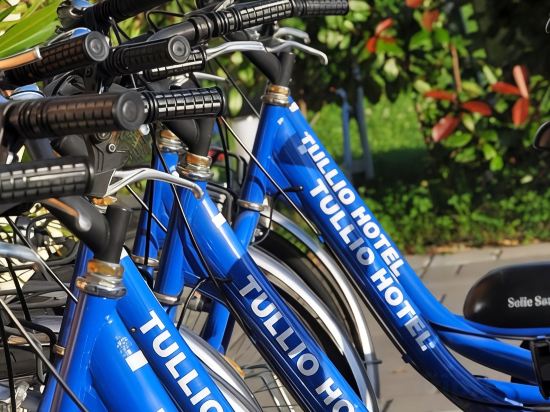 Фото Tullio Hotel