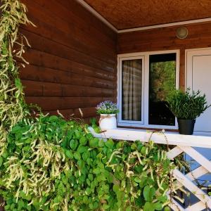 Фото Аметист