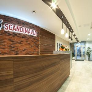 Фото Скандинавия