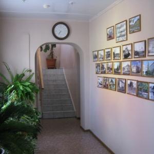 Фото Камелия