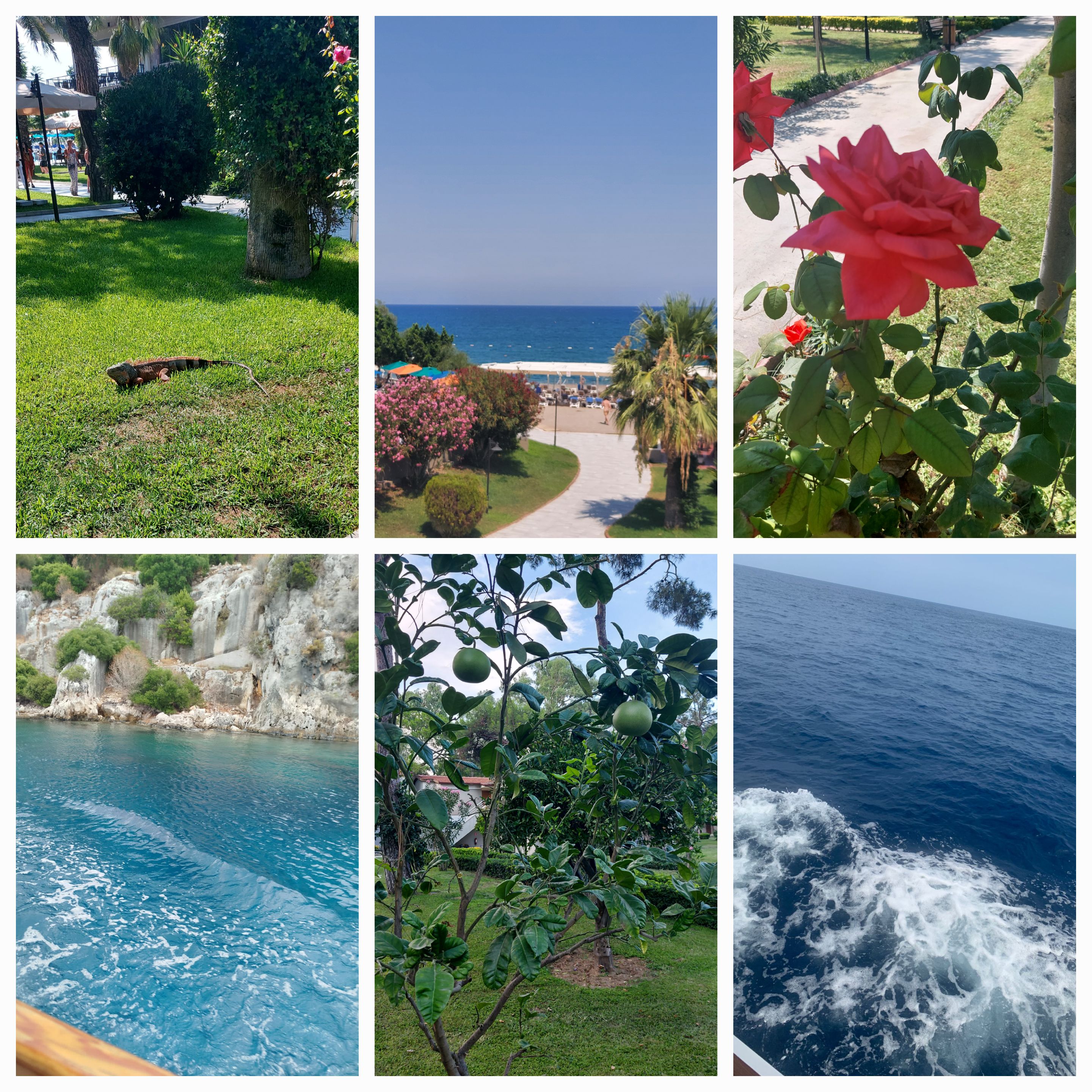 Фото Kimeros Park Holiday Village