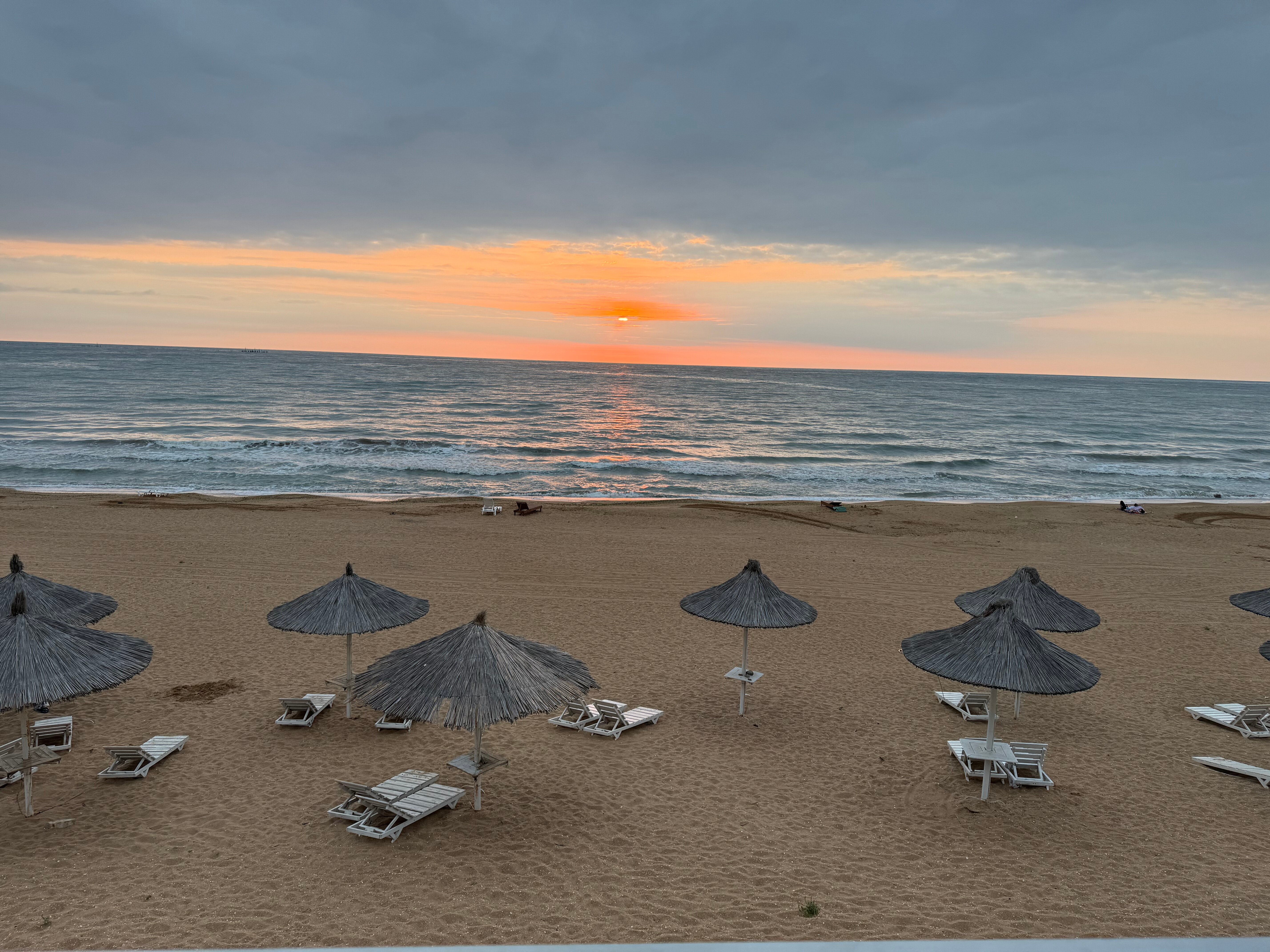 Фото Белый кит