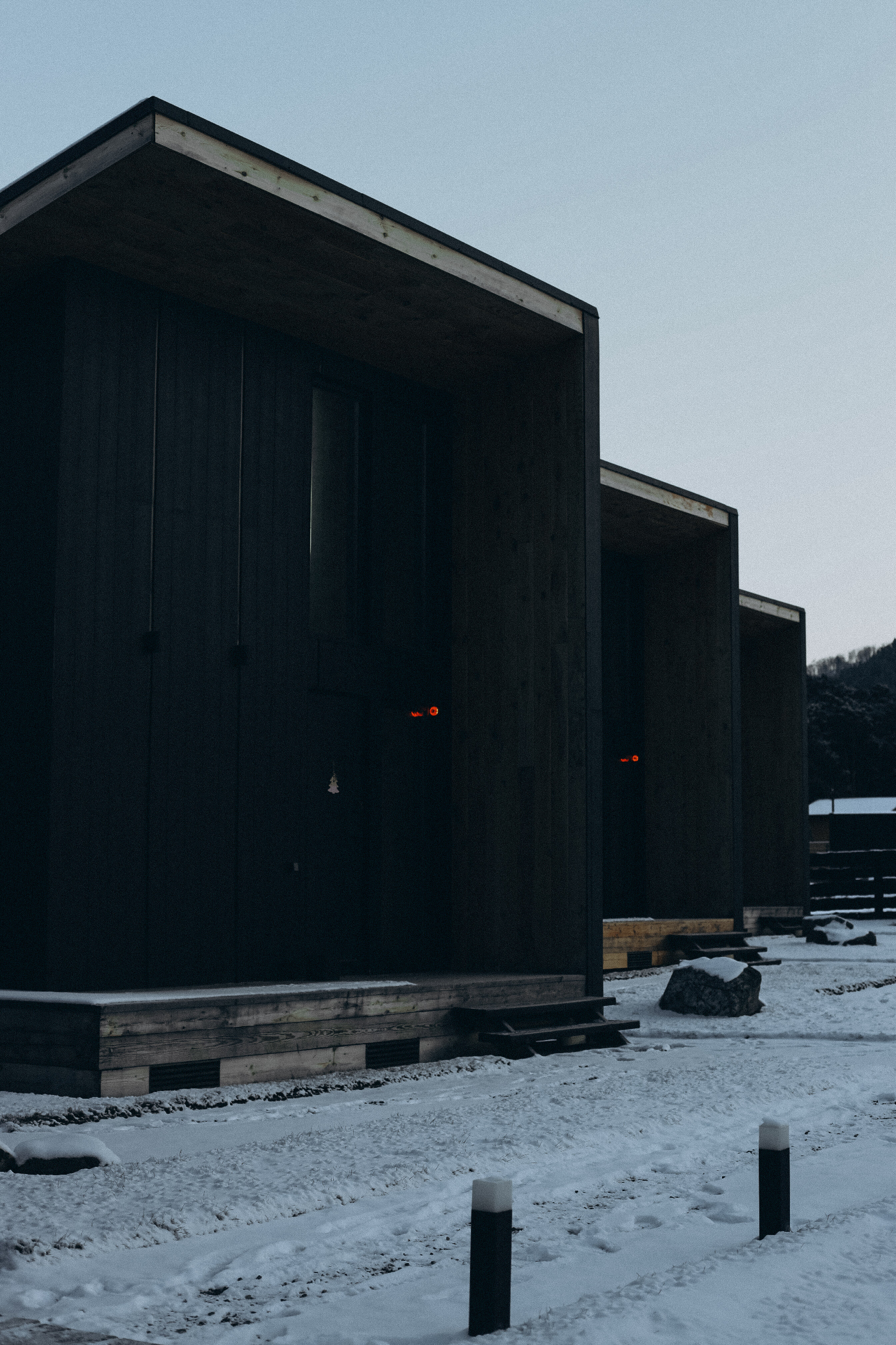 Фото Альпака