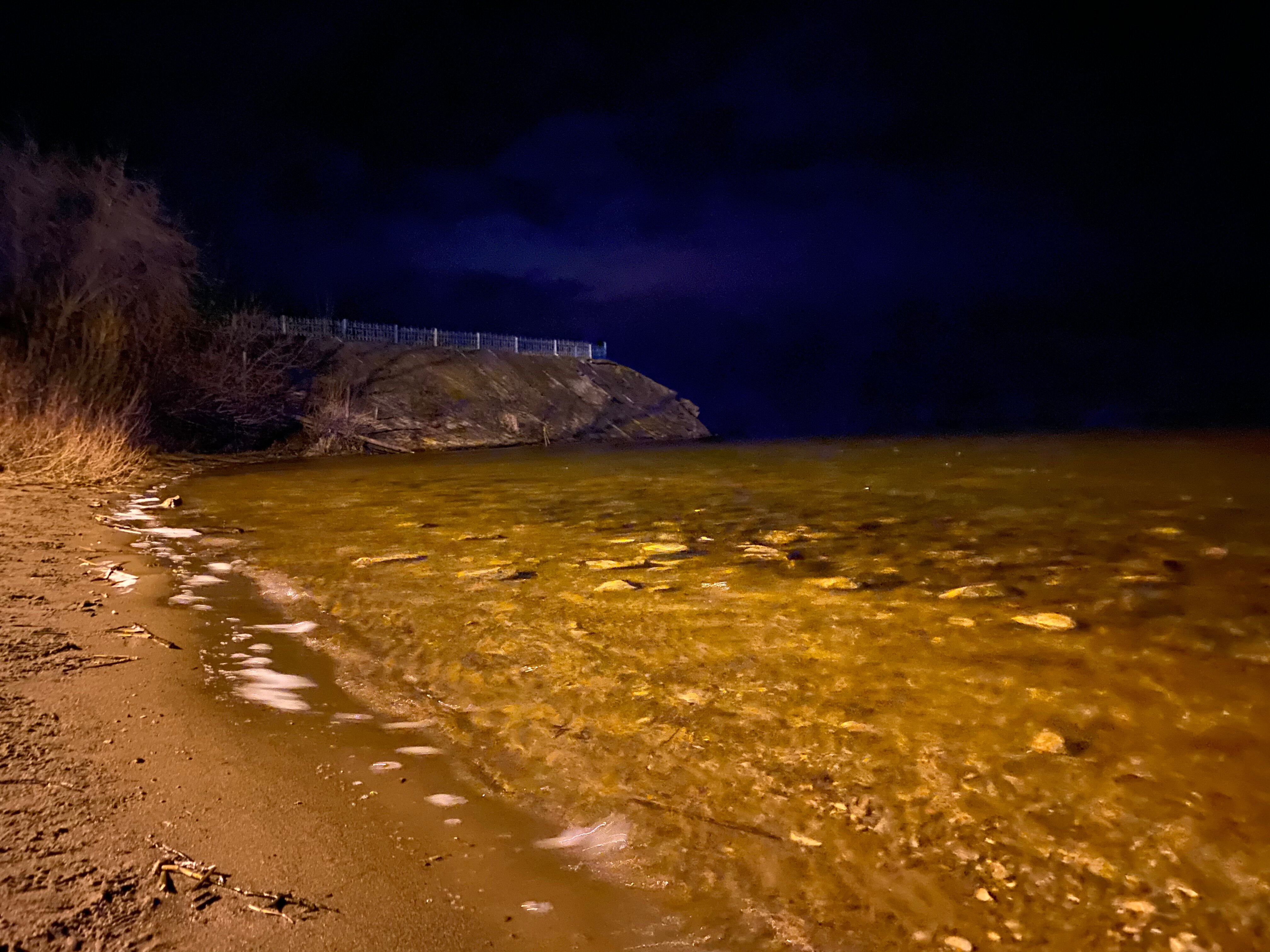 Фото Купеческая