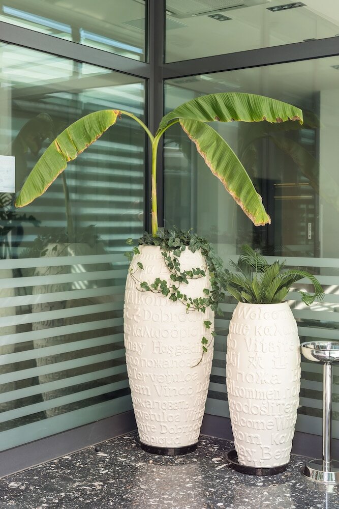 Фото Hotel Mondo